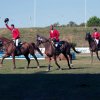 Le nostre medaglie - le nostre medaglie - Coppa delle Nazioni 2011 Atene